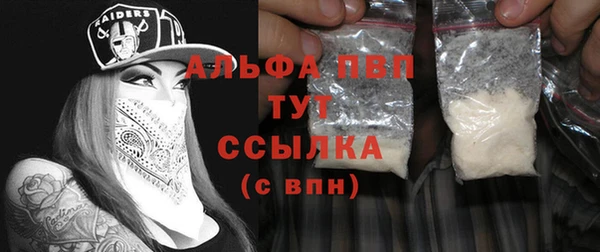 амф Вяземский