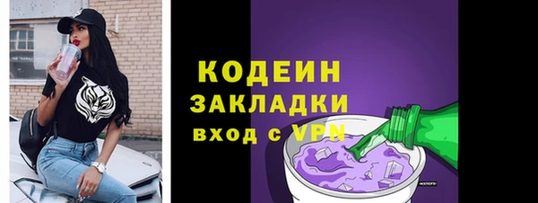 амф Вяземский