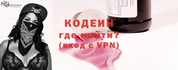 амф Вяземский