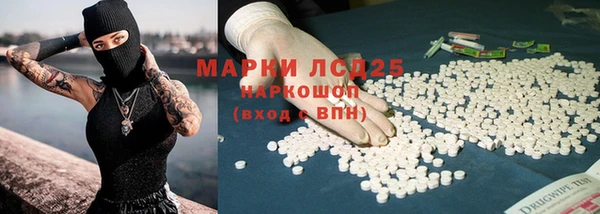 амф Вяземский