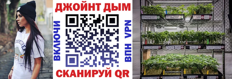 Бошки марихуана сатива  Новокузнецк 